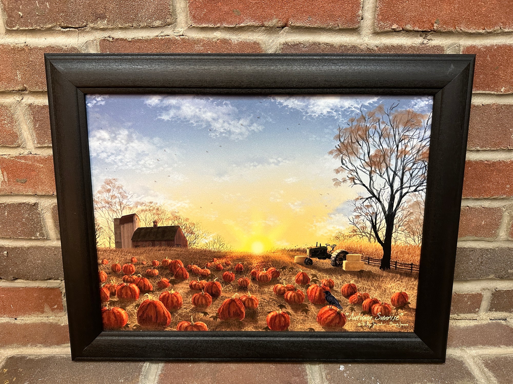 Autumn Sunrise Framed Art