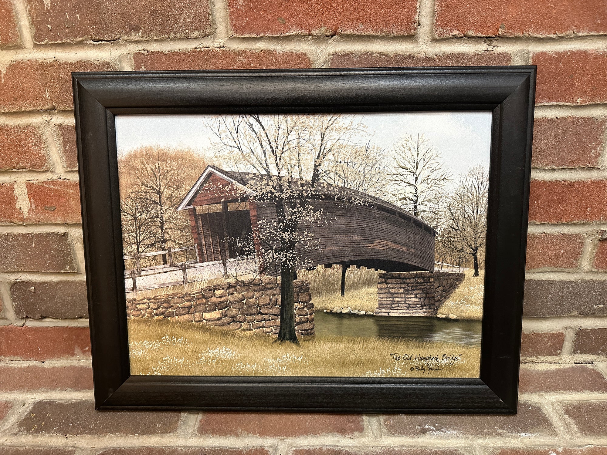 The Old Humpback Bridge Framed Print