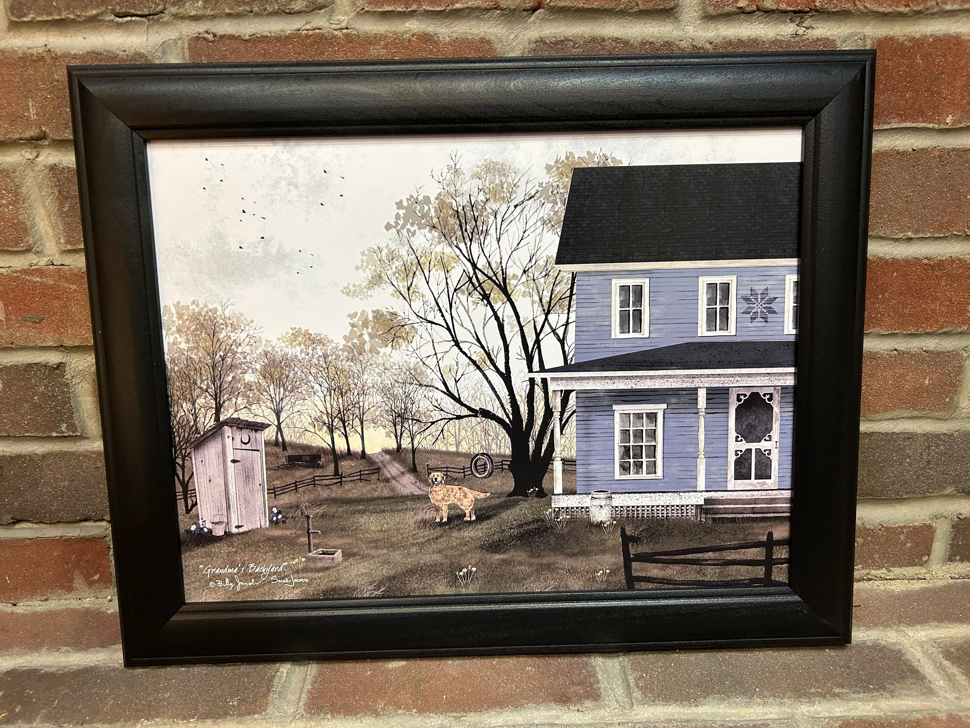 Grandma’s Backyard Framed Print