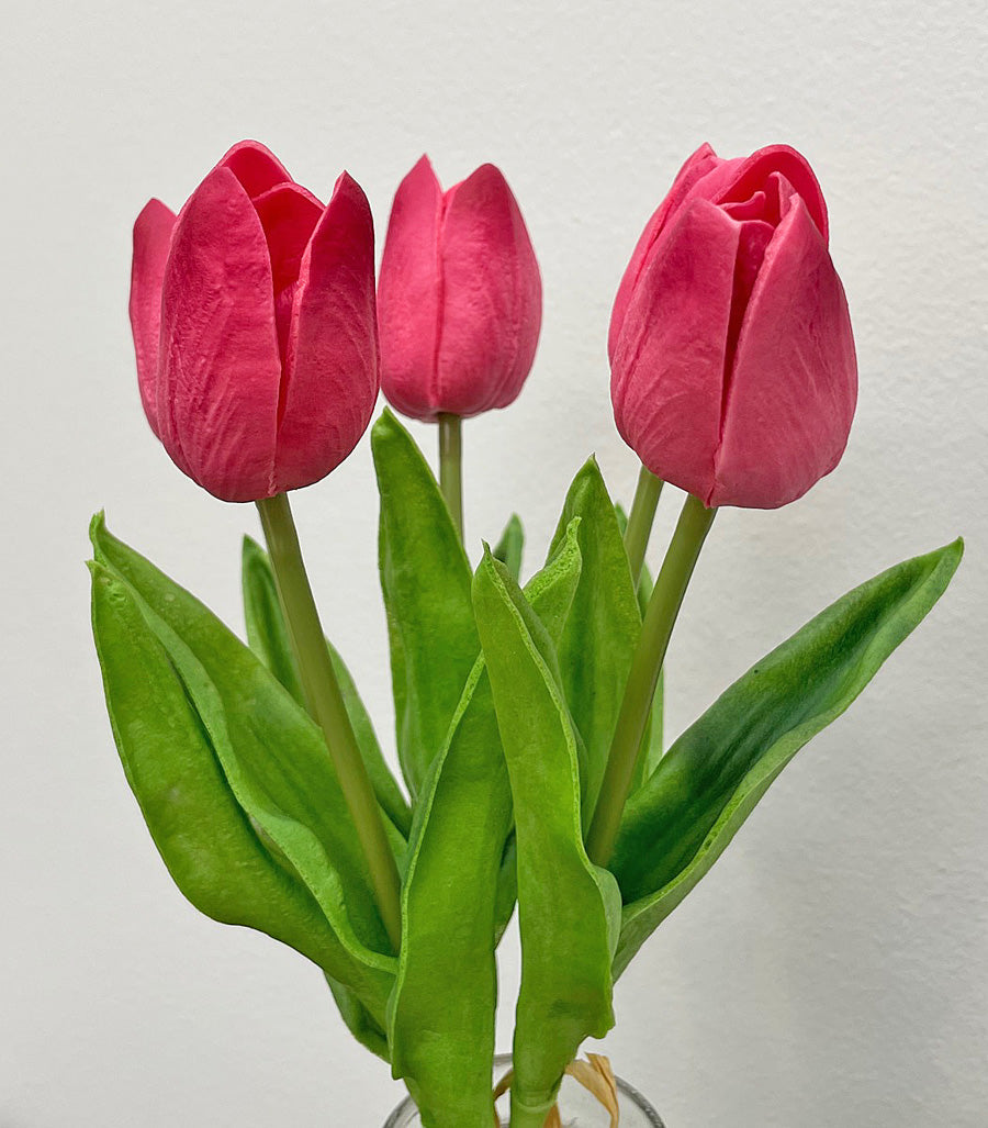 Tulips - 5 Styles