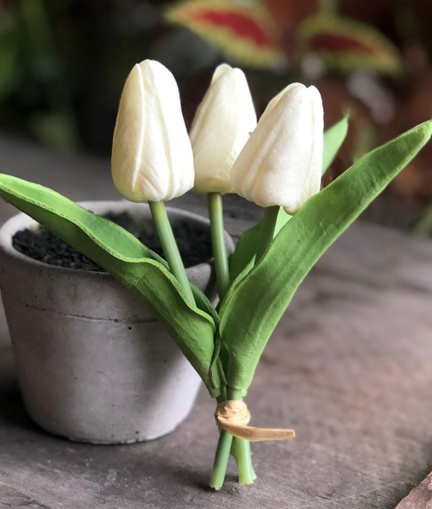 Mini Tulips - 6 Styles