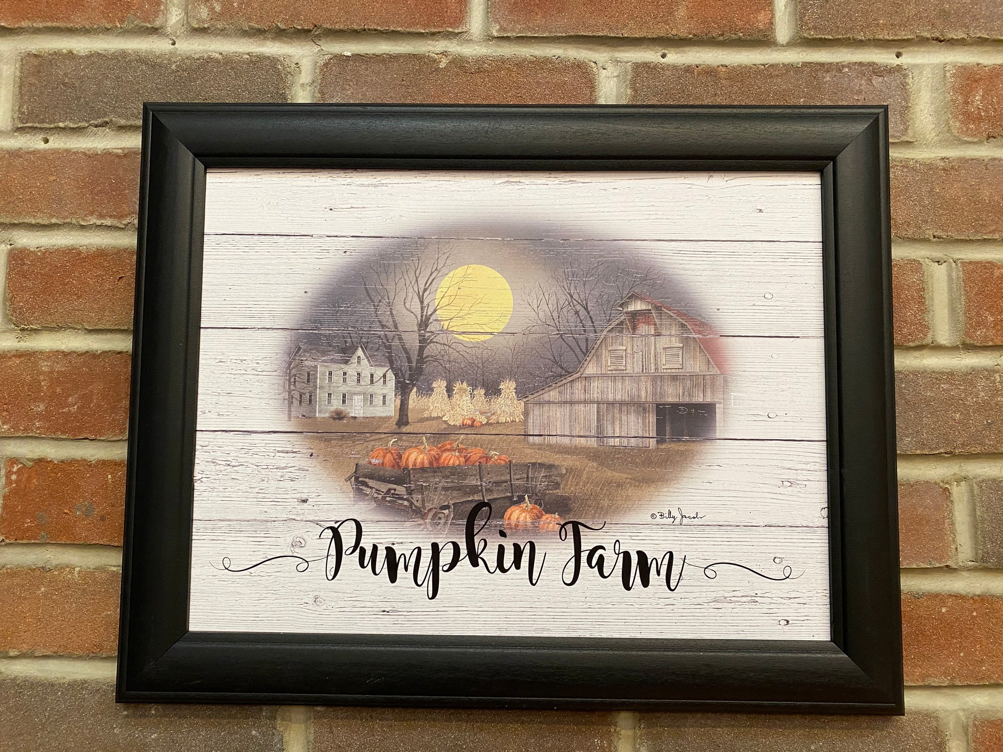 Pumpkin Farm Framed Print