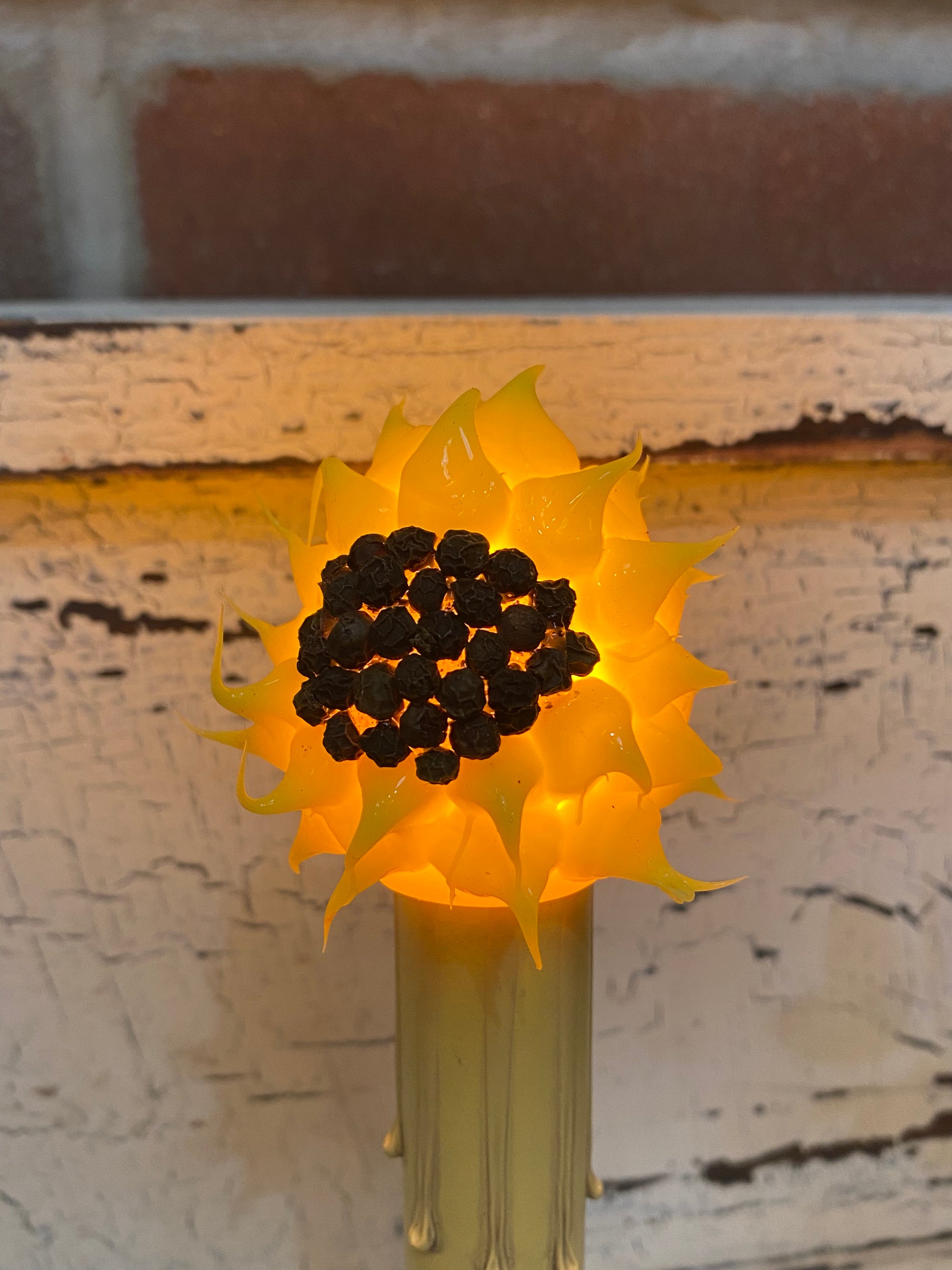 Sunflower Bulb