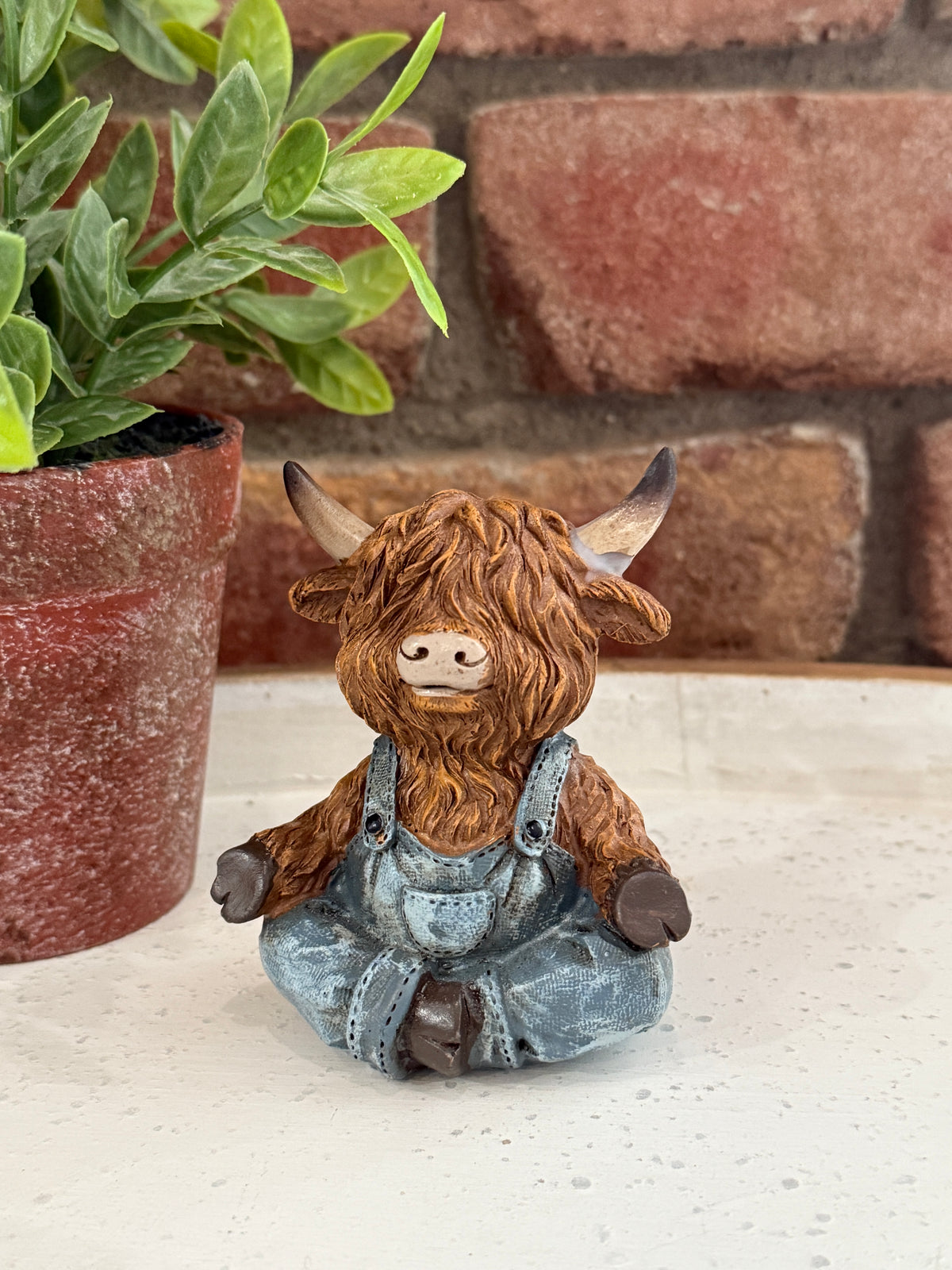 Highland Cow Yoga - 3 Styles