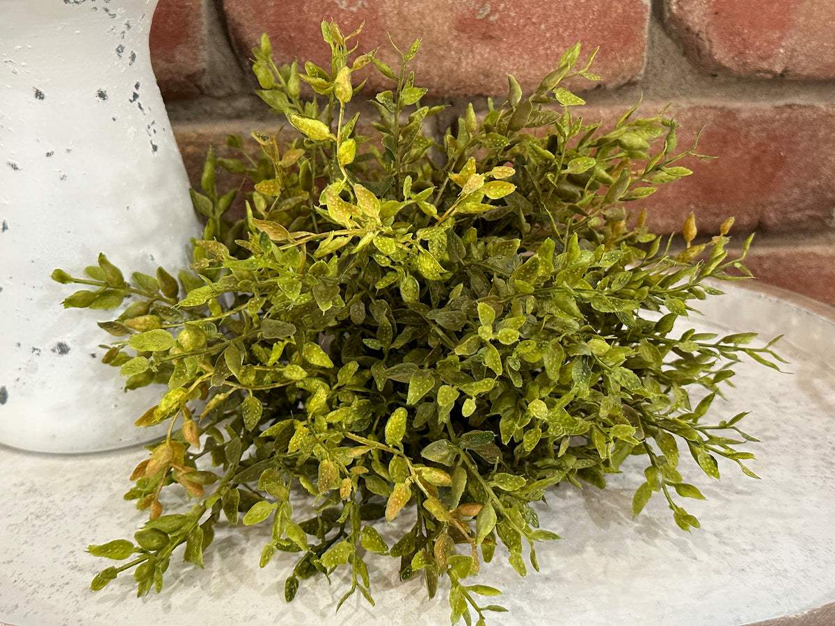 Lemon Beauty Half Sphere