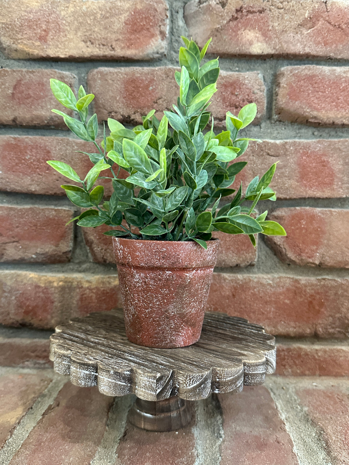 Scalloped Tray Stand - 2 Styles