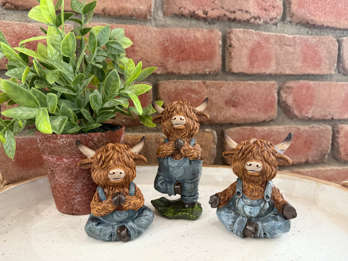 Highland Cow Yoga - 3 Styles