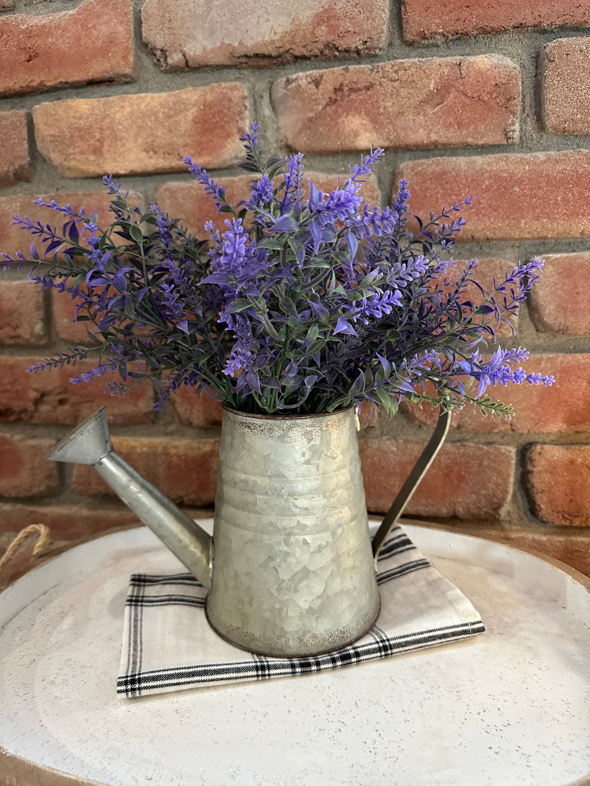 Provence Plains Lavender Bush