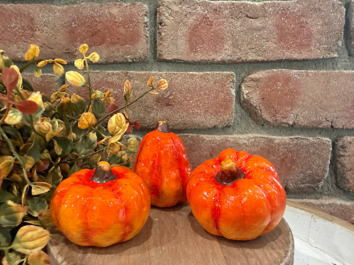 Mini Traditional Pumpkins - 3 Styles