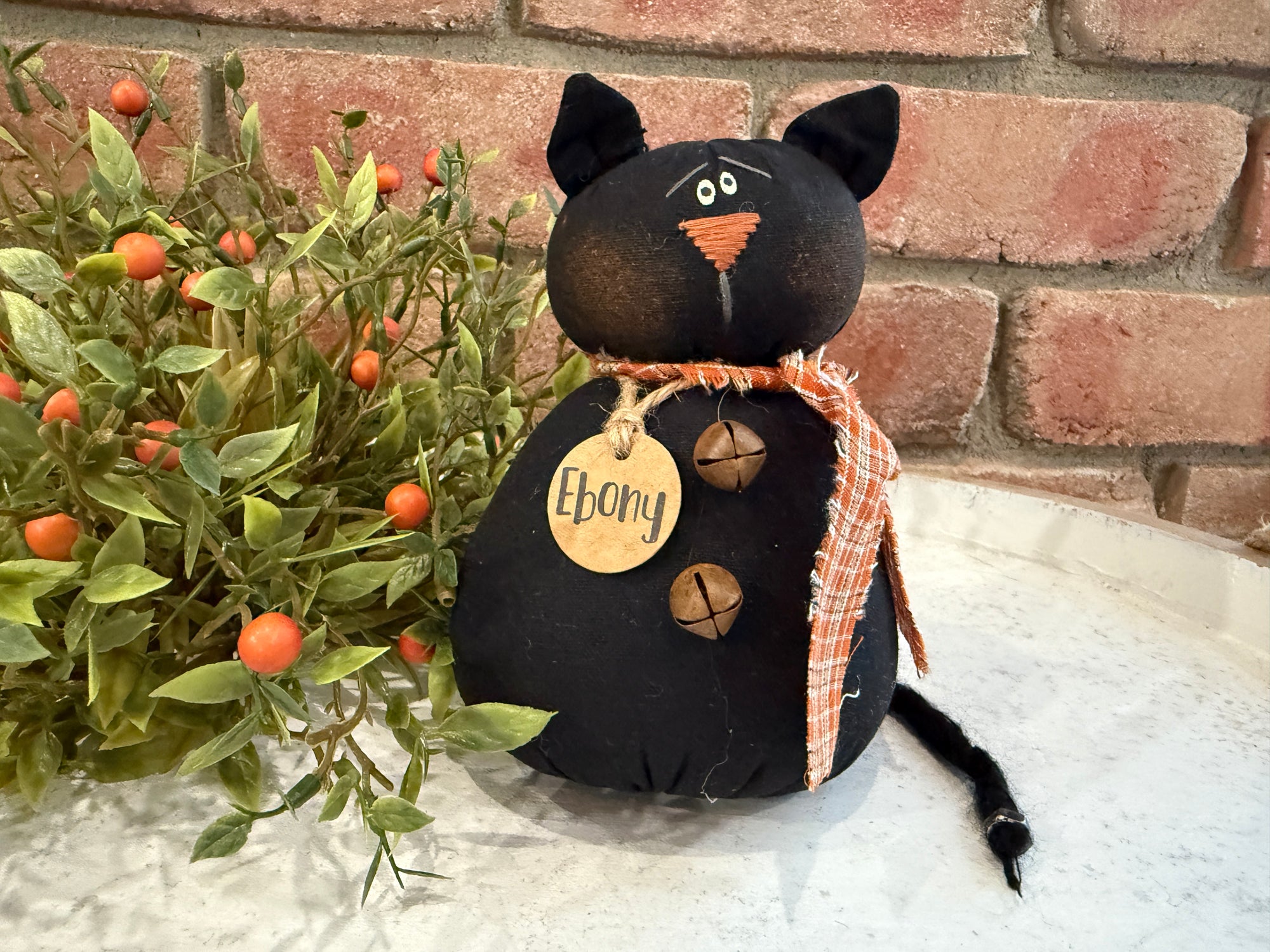 Ebony the Cat