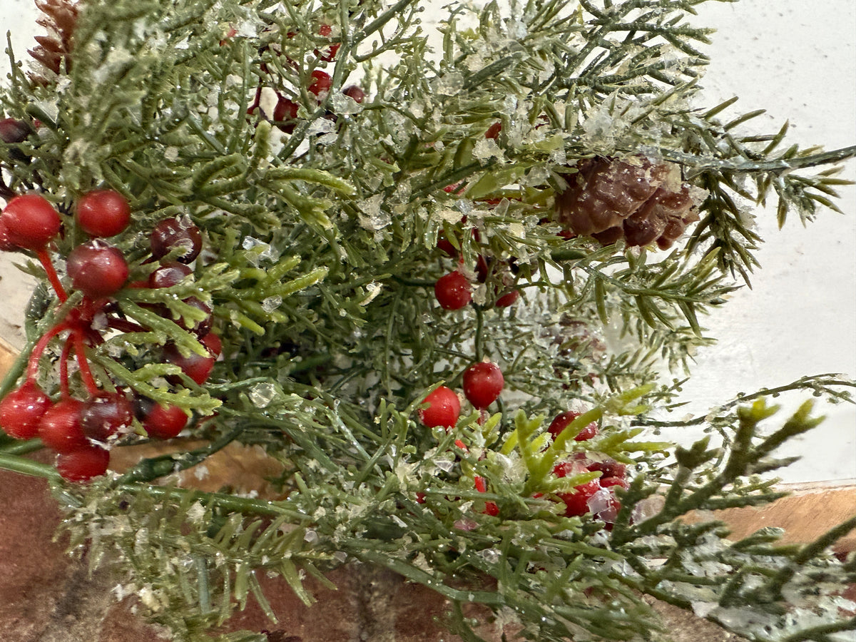 Wintry Mix Bush