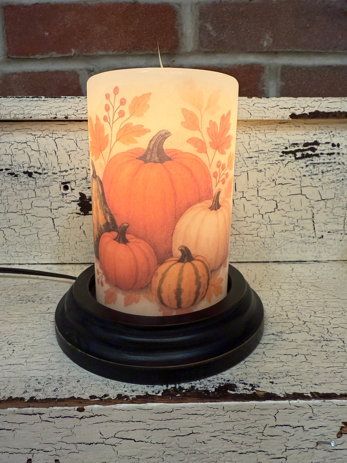 Fall Pumpkins &amp; Gourds Candle Sleeve
