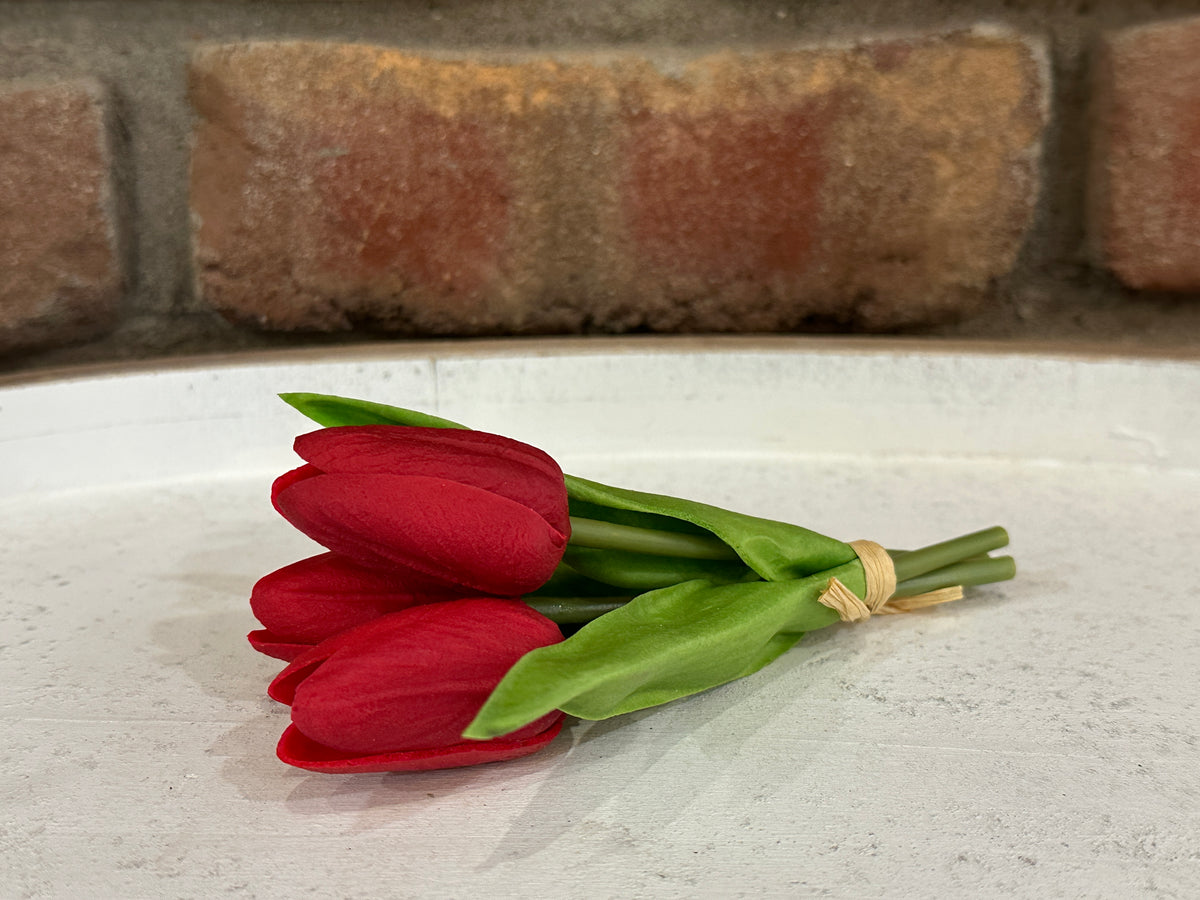 Mini Tulips - 6 Styles