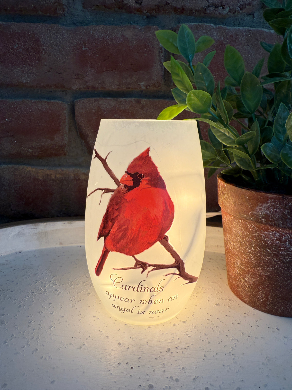 Cardinal Lighted Vase - Two Styles