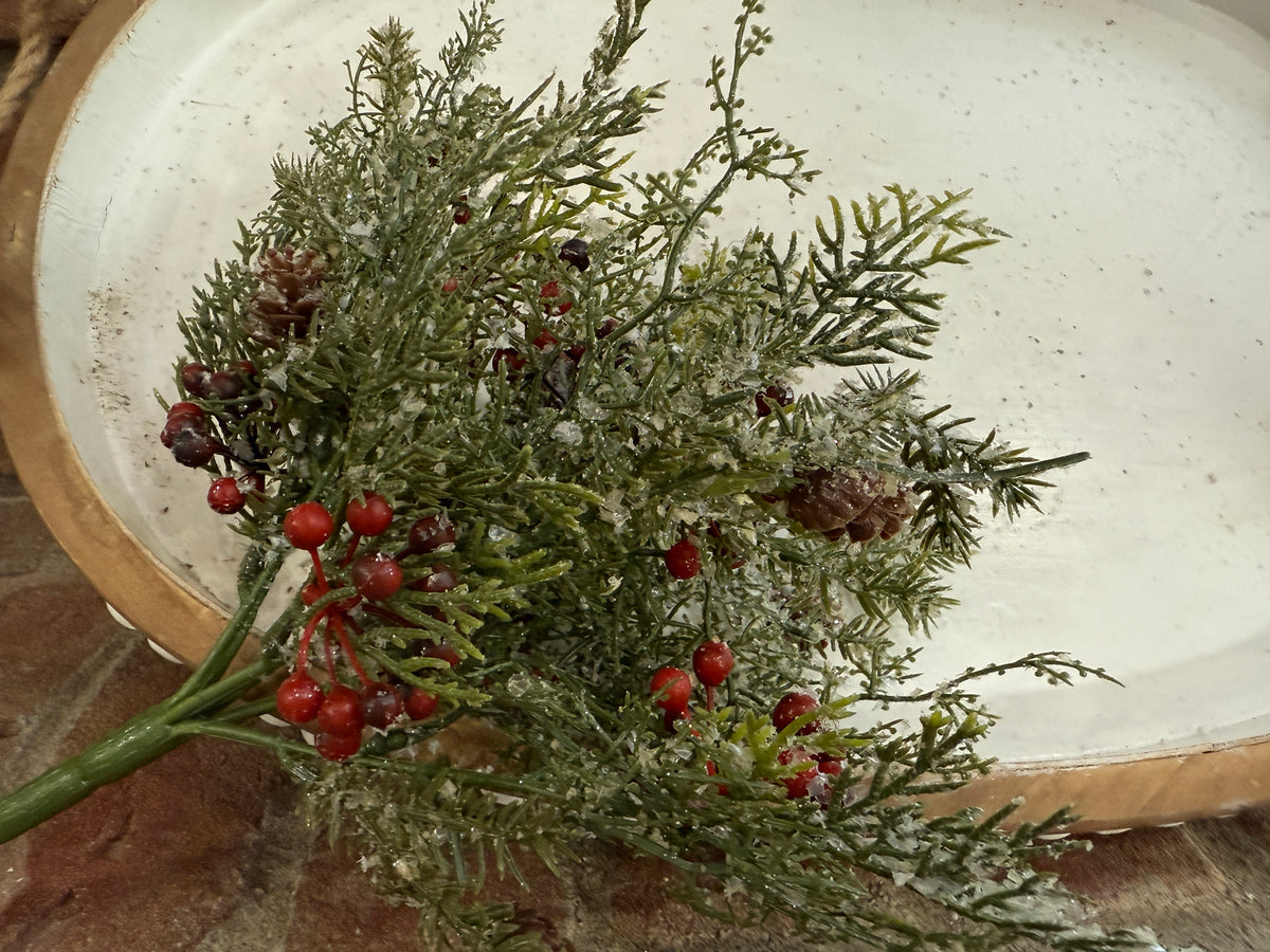 Wintry Mix Bush