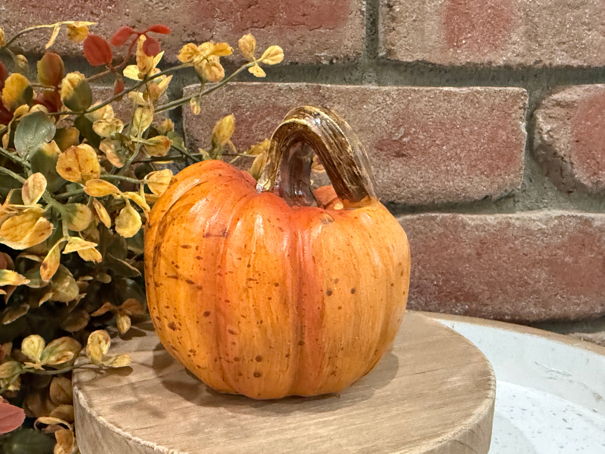 Harvest Pumpkins - Small - 3 Styles