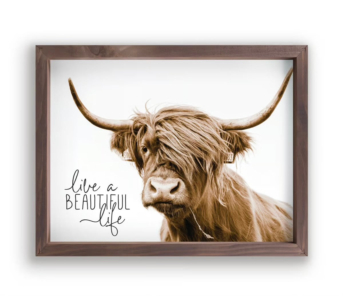 Live A Beautiful Life Framed Print