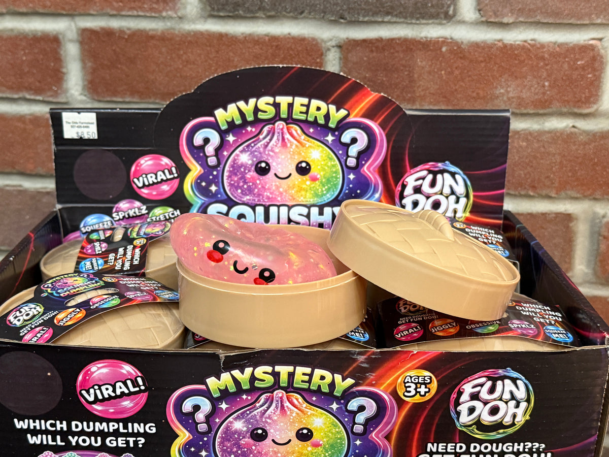 Mystery Dumpling Squishy