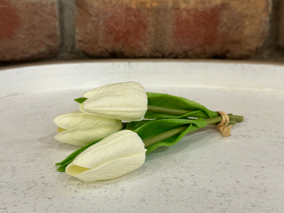 Mini Tulips - 6 Styles