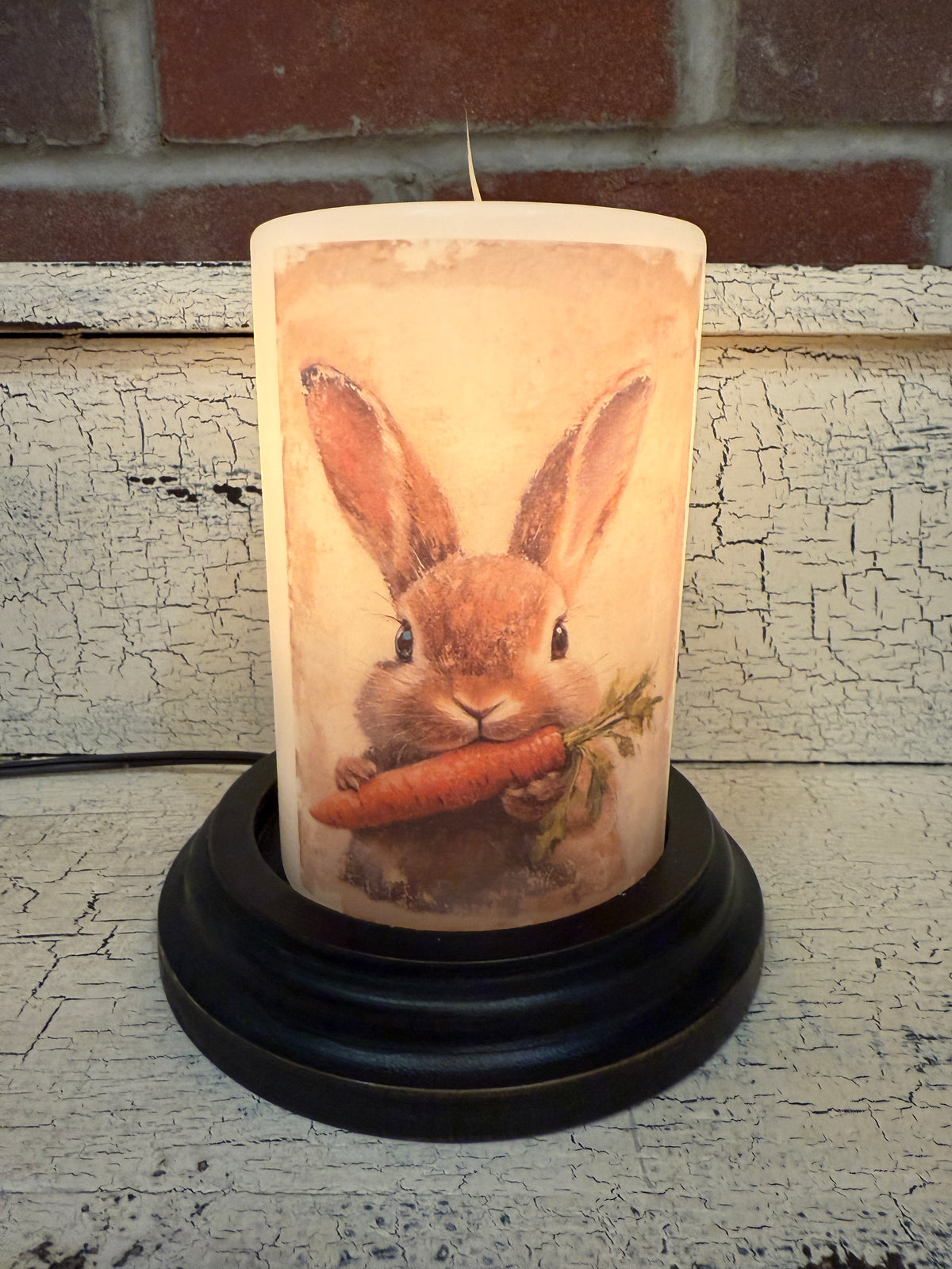 Mopsy Bunny Carrot Candle Sleeve