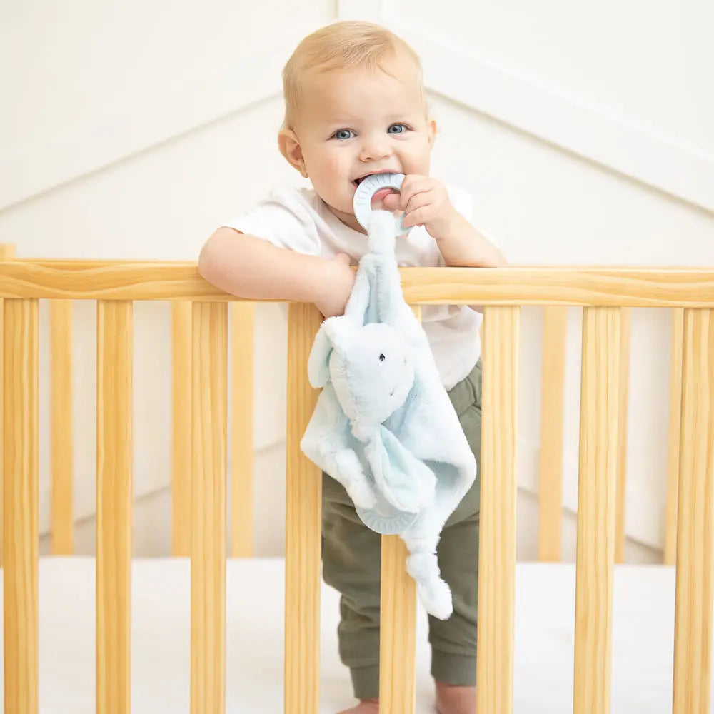 Danny the Dog Teether Buddy
