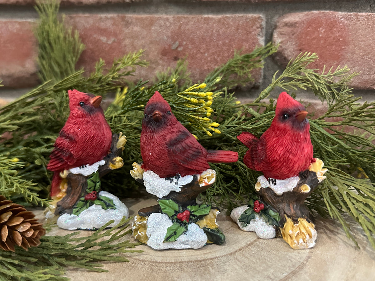 Cardinal on Snowy Branch