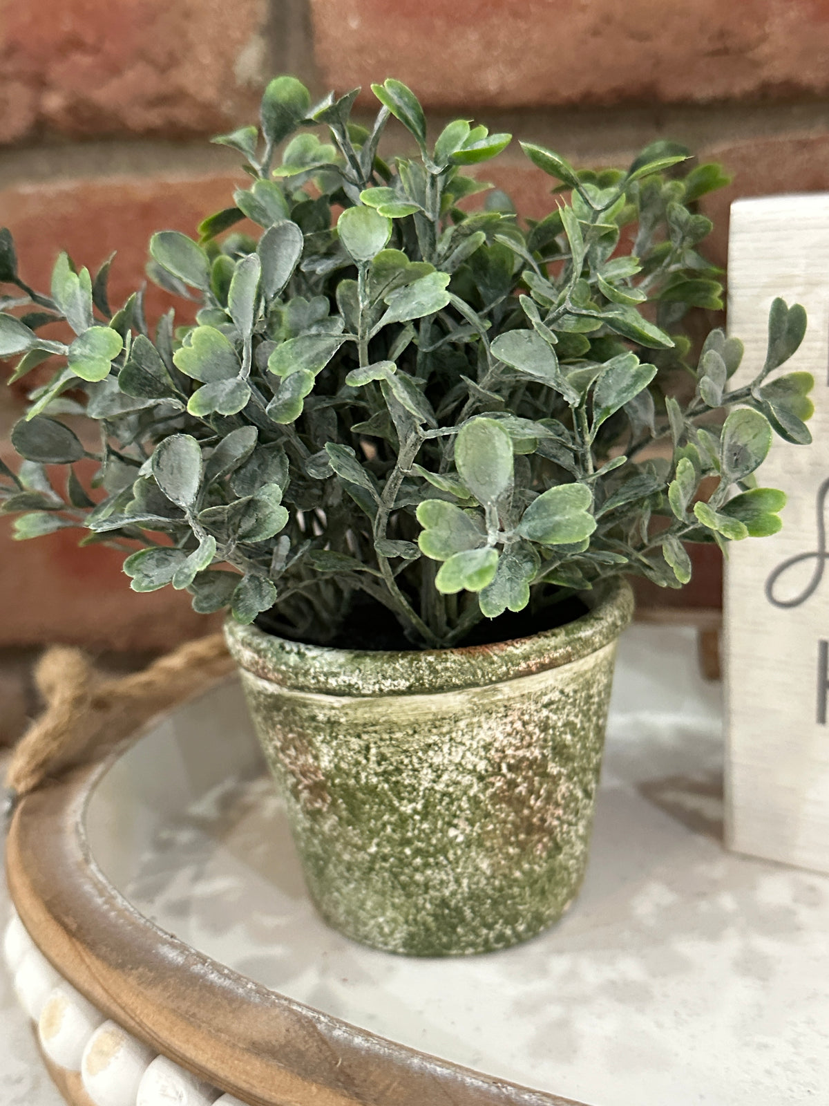 Belmont Pot - Purslane