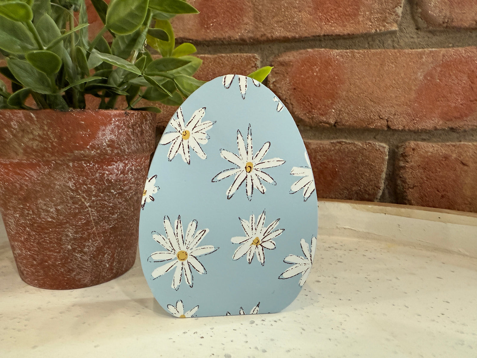 Daisy Blue Egg