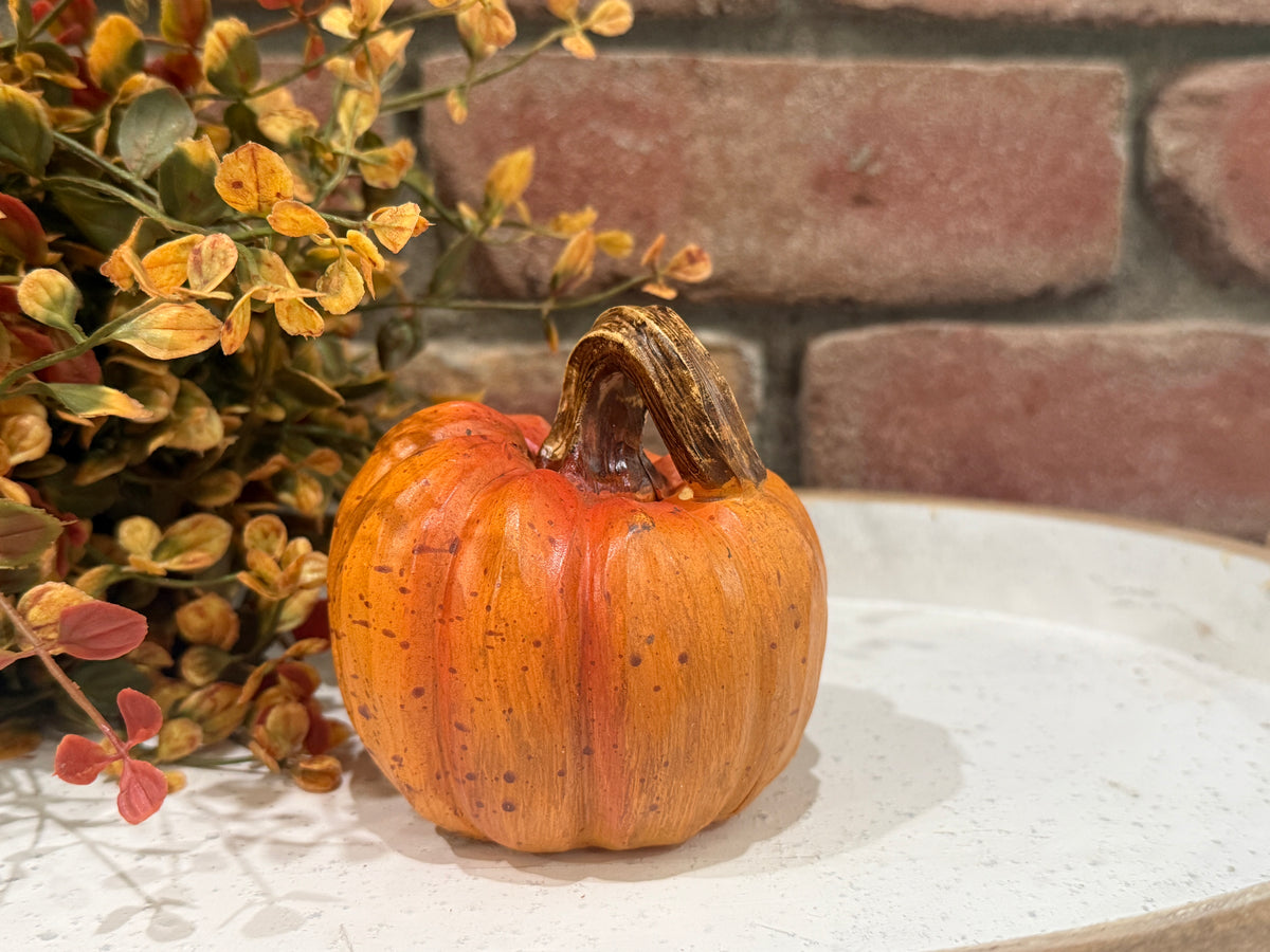 Harvest Pumpkins - Small - 3 Styles