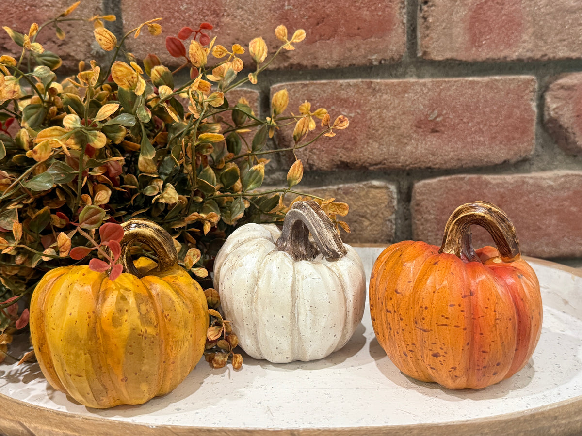 Harvest Pumpkins - Small - 3 Styles