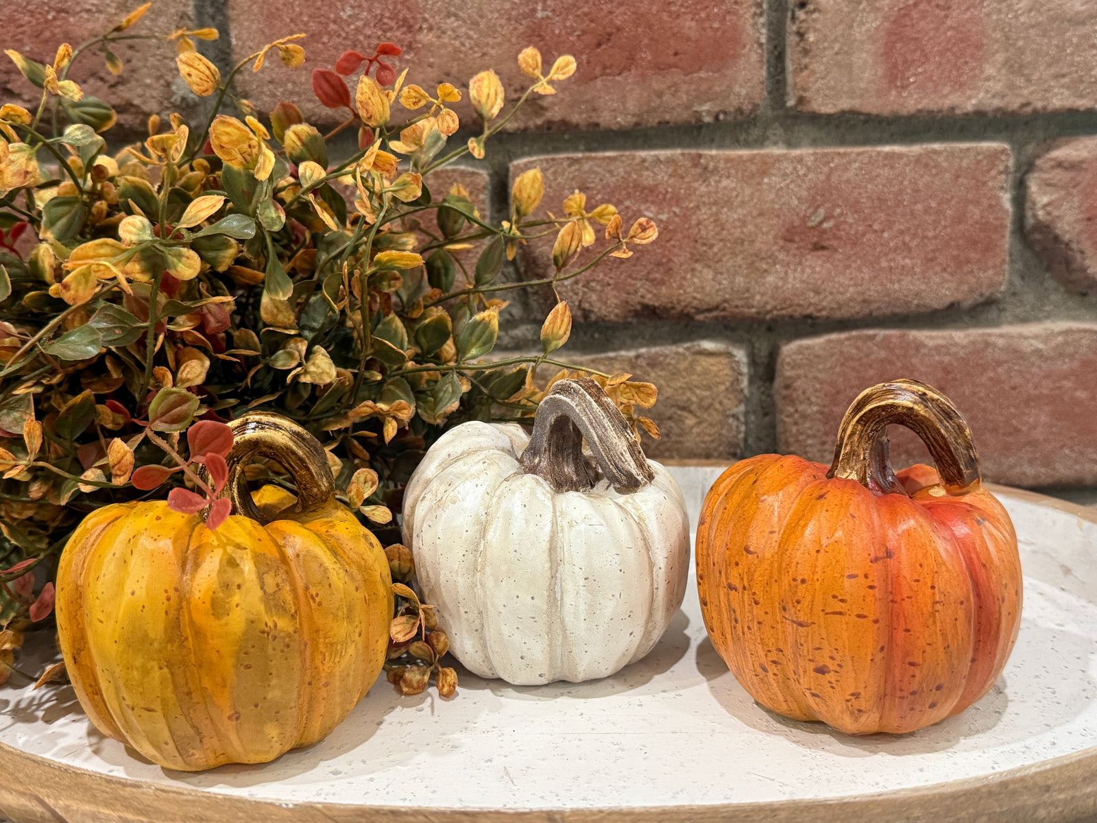 Harvest Pumpkins - Small - 3 Styles