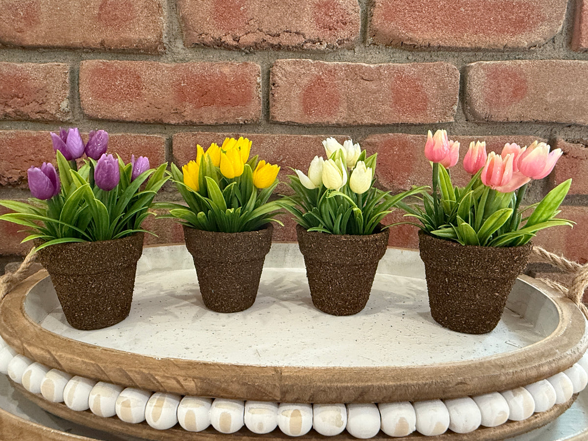 Teacup Tulip Pot - 4 Colors