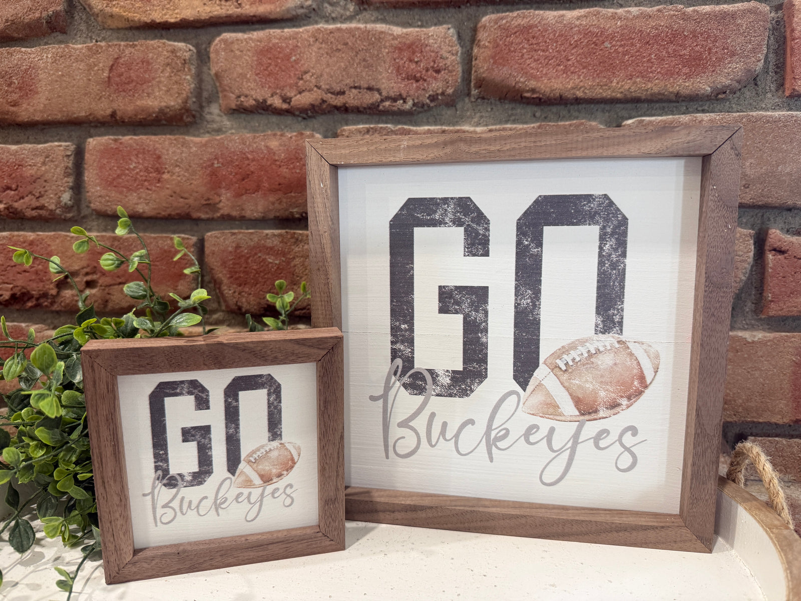 Go Buckeyes Framed Sign - Two Sizes