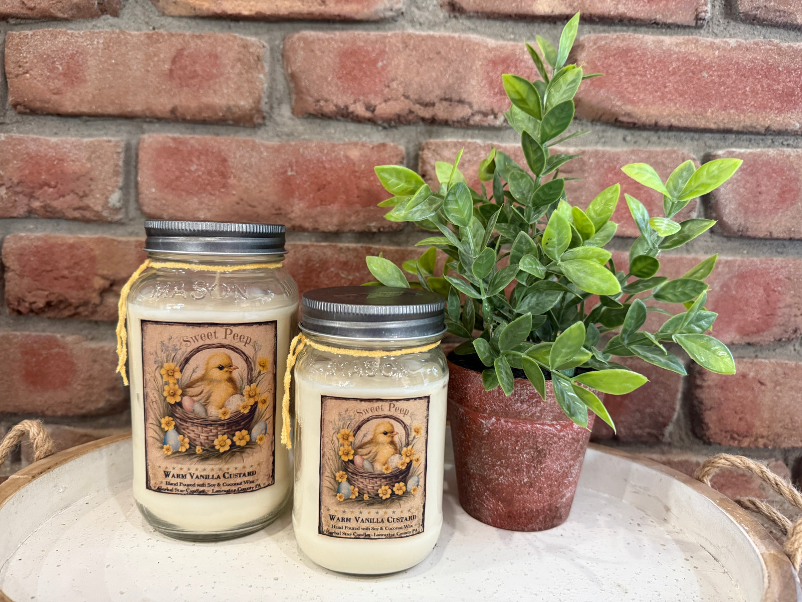 Sweet Peeps Warm Vanilla Custard Jar Candles - 2 Sizes