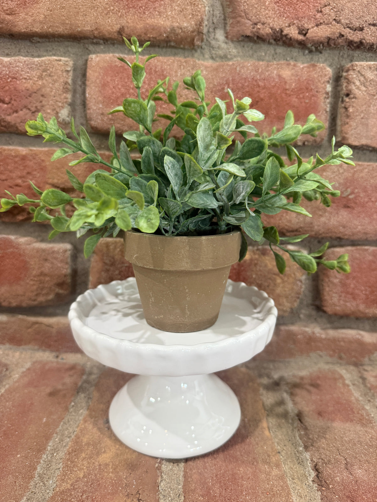 White Scalloped Pedestal - 2 Styles