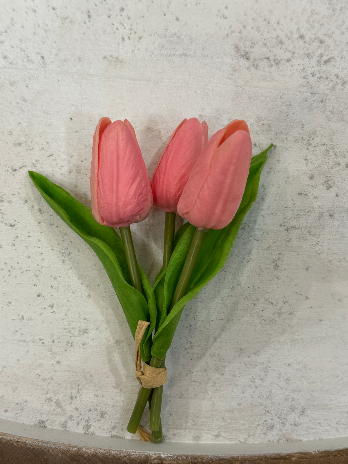 Mini Tulips - 6 Styles