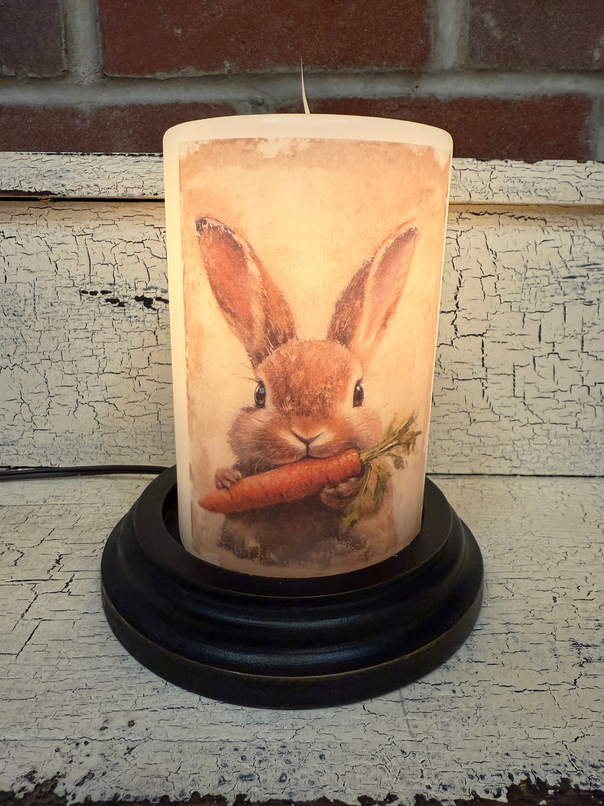 Mopsy Bunny Carrot Candle Sleeve