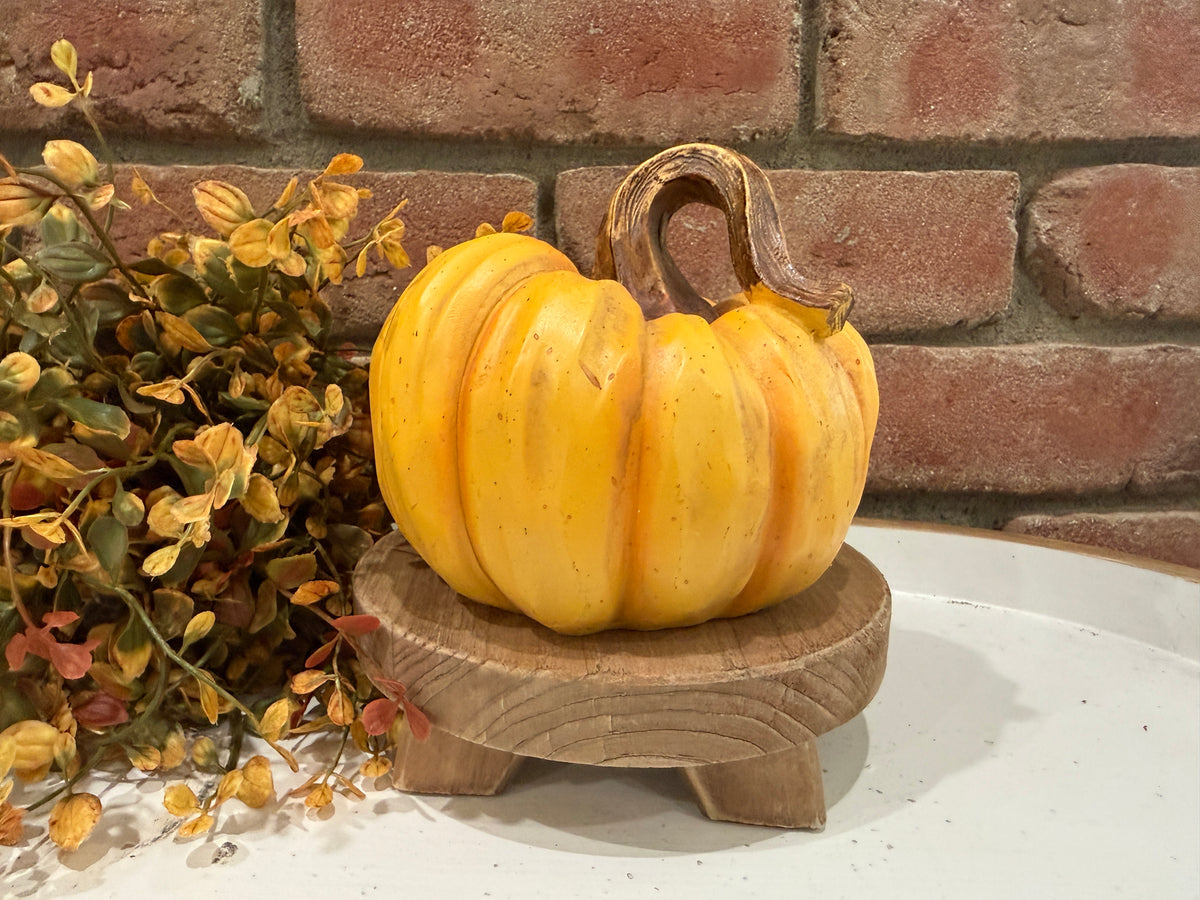 Harvest Pumpkins - Large - 3 Styles