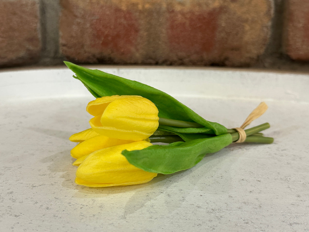 Mini Tulips - 6 Styles