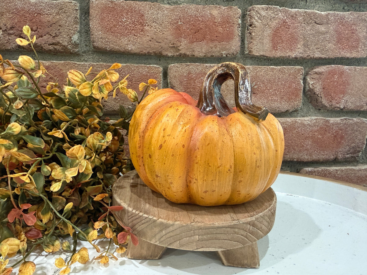 Harvest Pumpkins - Large - 3 Styles