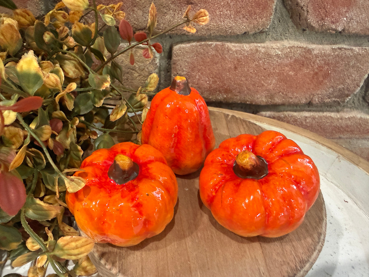 Mini Traditional Pumpkins - 3 Styles