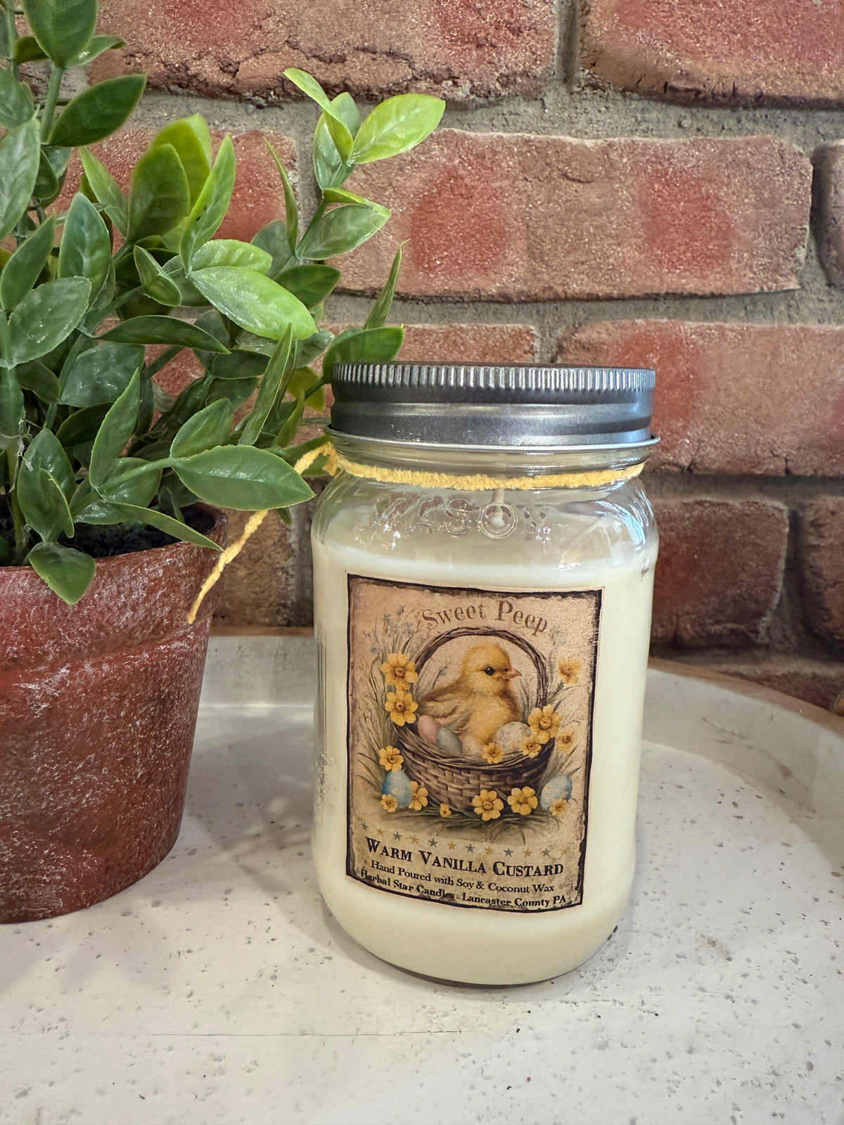 Sweet Peeps Warm Vanilla Custard Jar Candles - 2 Sizes