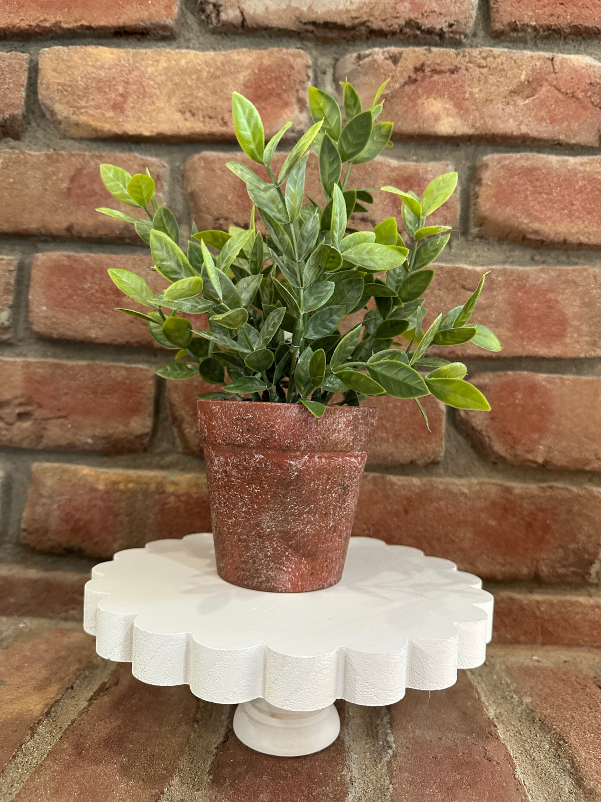 Scalloped Tray Stand - 2 Styles