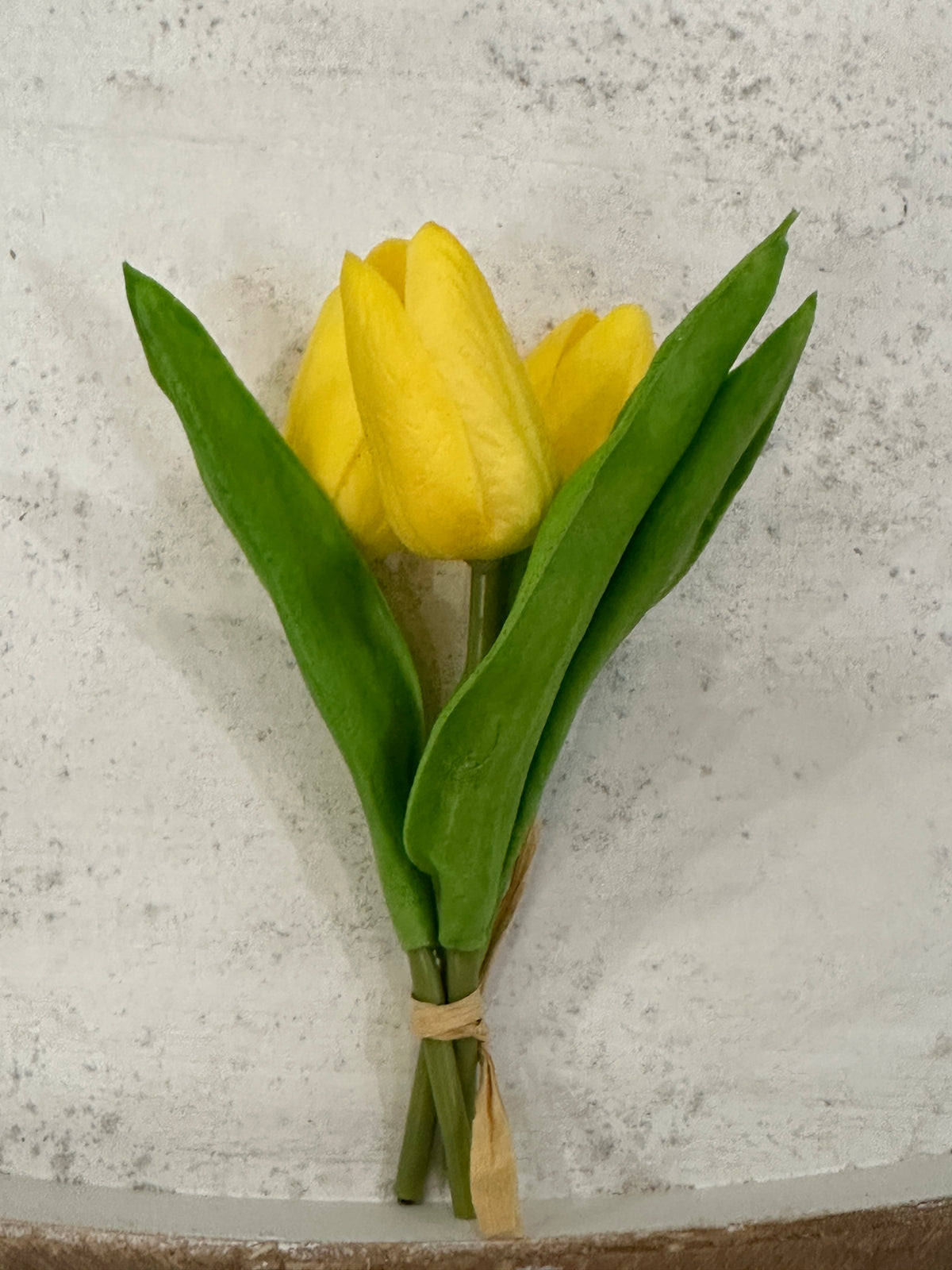 Mini Tulips - 6 Styles