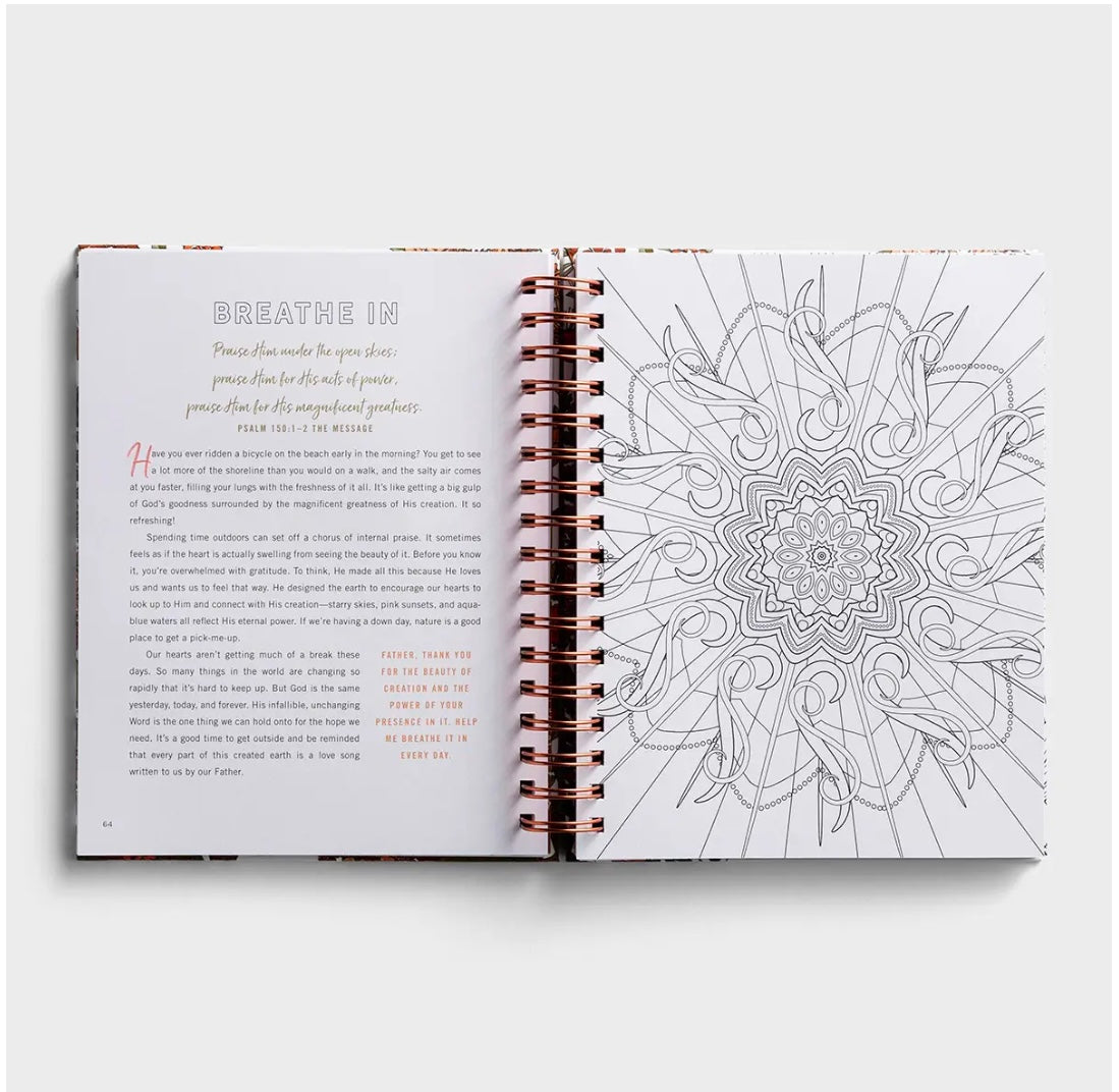 Set Your Mind on Things Above: Devotional Coloring Book