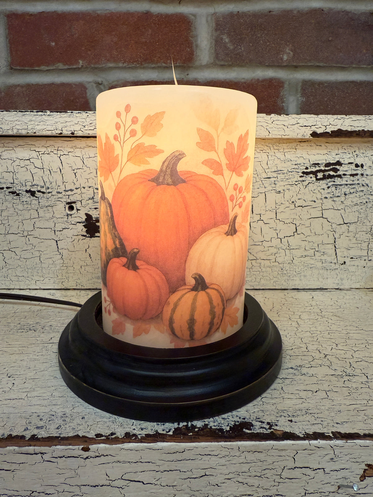 Fall Pumpkins &amp; Gourds Candle Sleeve