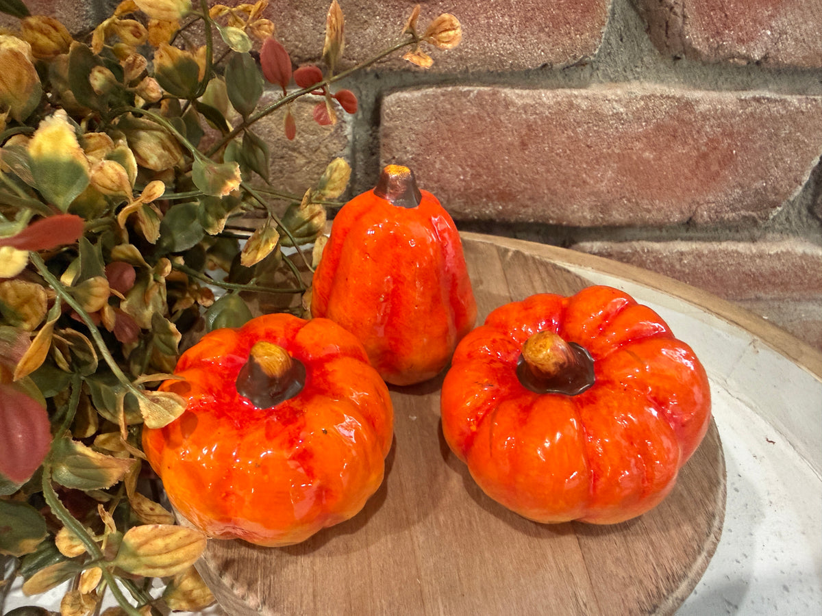 Mini Traditional Pumpkins - 3 Styles