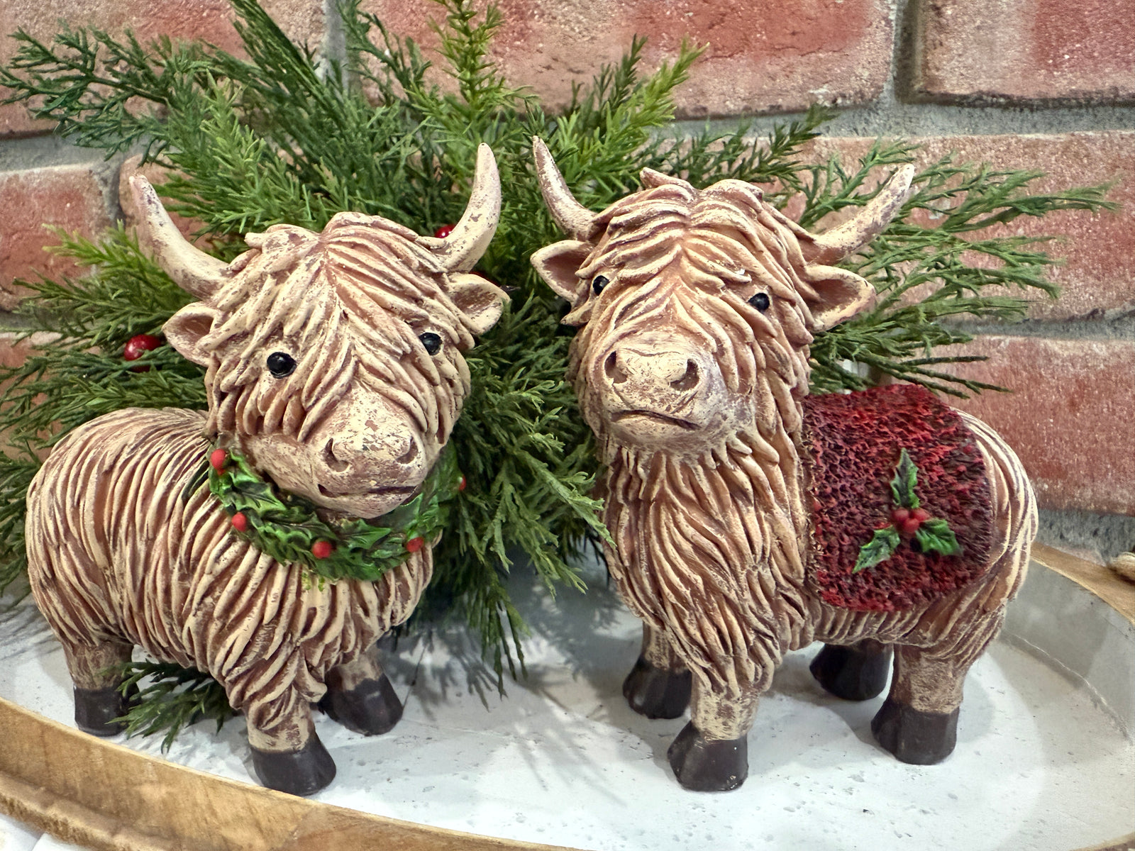 Holiday Highland Cow - 2 Styles