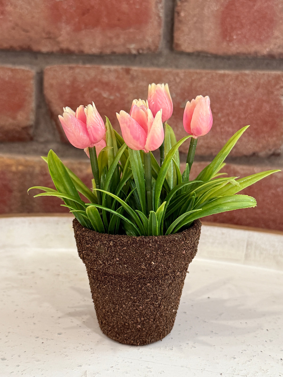 Teacup Tulip Pot - 4 Colors