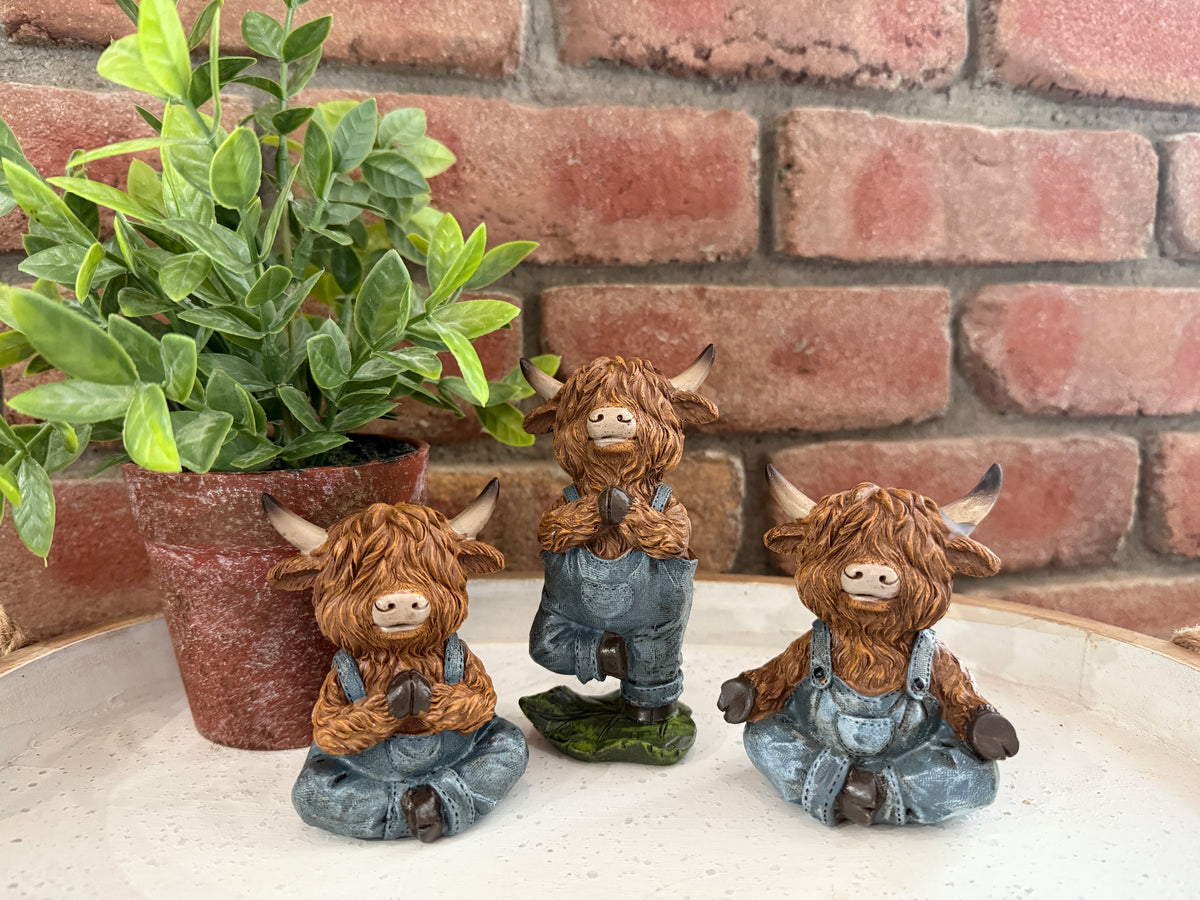 Highland Cow Yoga - 3 Styles